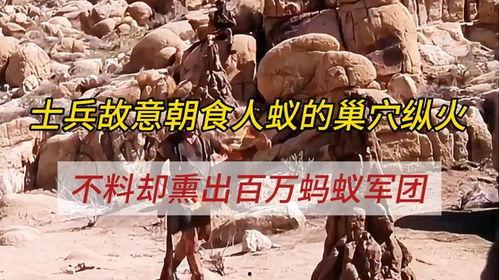 食人蚁军团在线观看,在线惊悚探险之旅